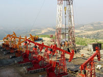 ���̰���